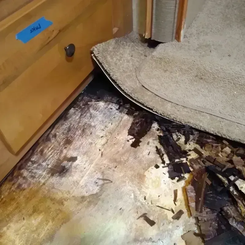 Wood Floor Water Damage in North Port, FL